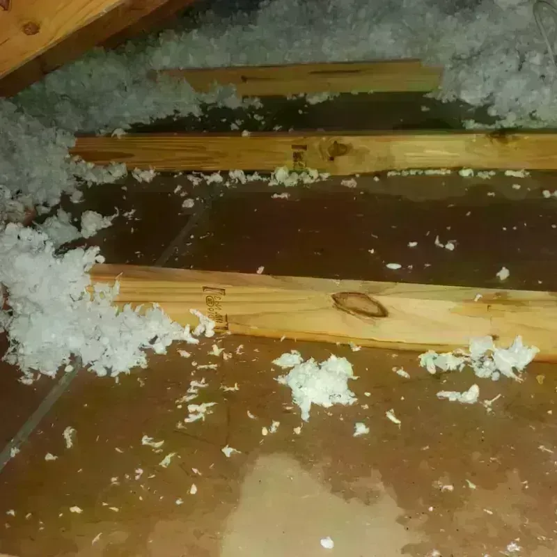 Attic Water Damage in Shelter Island Heights, NY